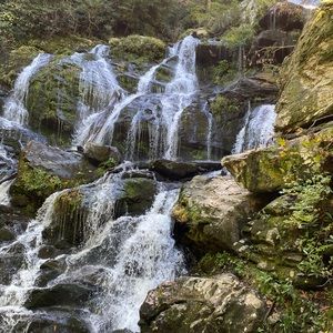 Meet your Posher, Kasara